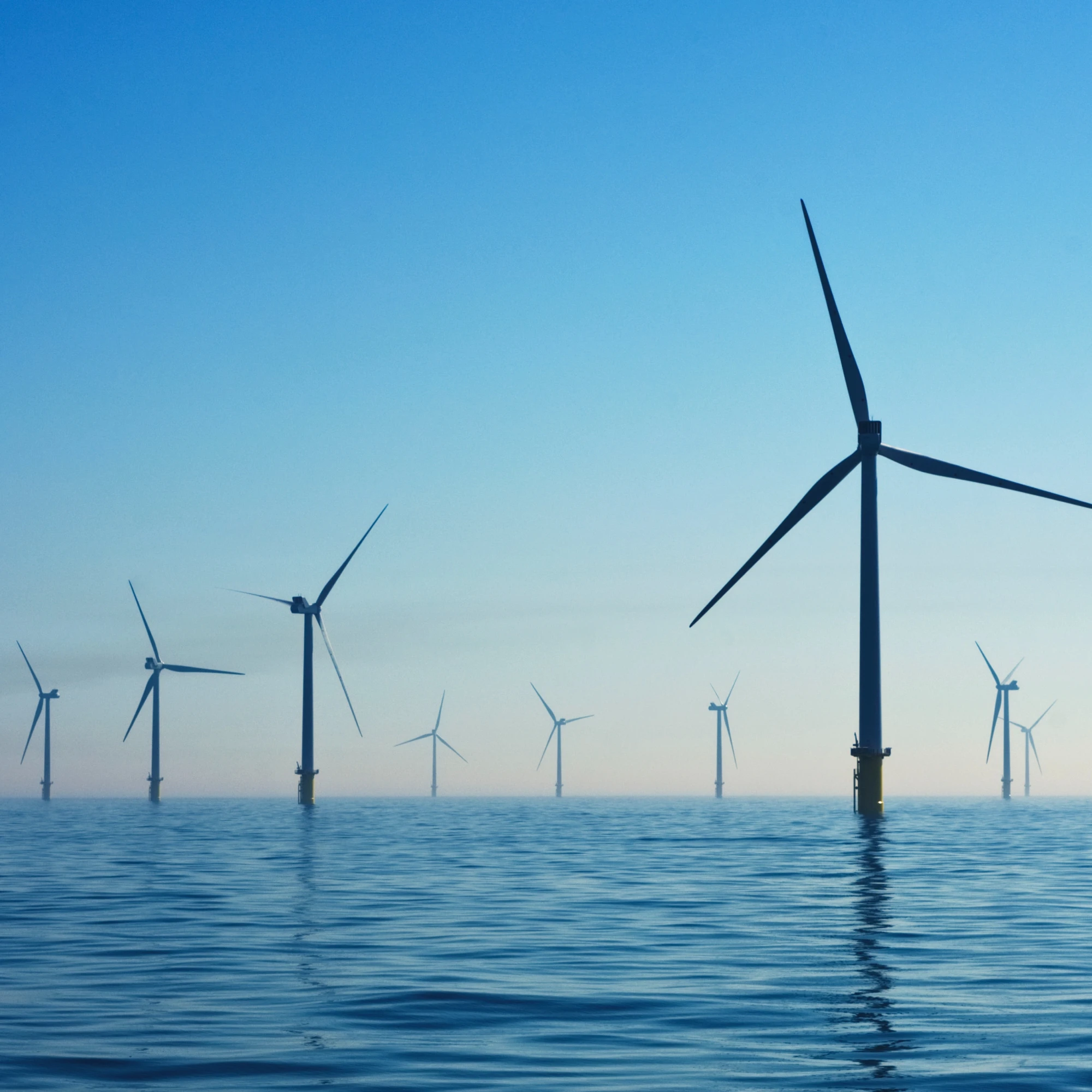 Une photo d'éoliens qui se dresse en pleine mer.